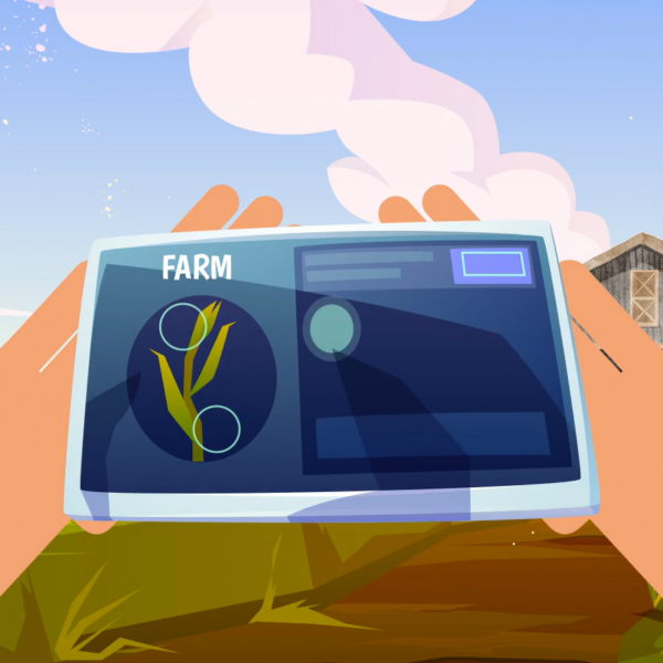 02 Creating an On-farm Budget