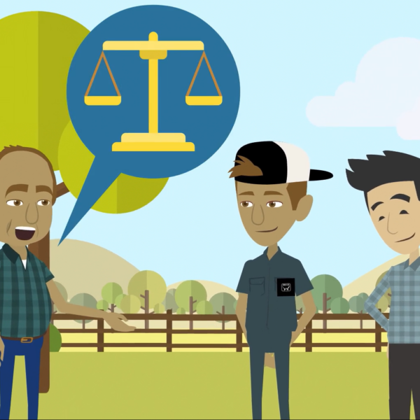 08 - Understanding the Concept of Fair Before Equal