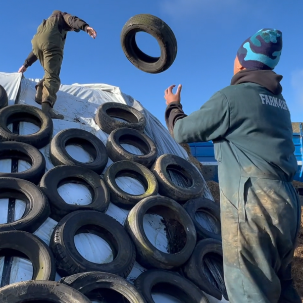 08 Tyres: Reuse / Recycle